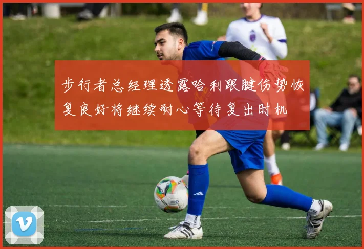 步行者总经理透露哈利跟腱伤势恢复良好将继续耐心等待复出时机