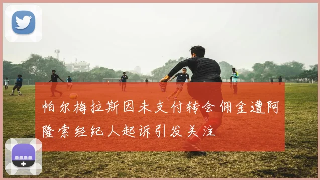 帕尔梅拉斯因未支付转会佣金遭阿隆索经纪人起诉引发关注